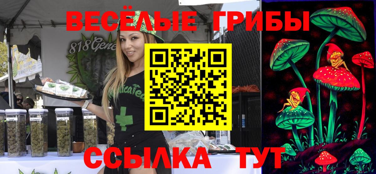 Галлюциногенные грибы прущие грибы Пушкино
